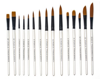 Studio 22 Titanium Series Watercolour Paint Brush Collection Set 15pc