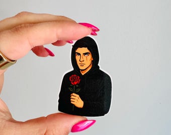 Pegatina de Zade Meadows / Pegatina para Kindle / Regalos para ella / Romance oscuro / Pegatina de vinilo