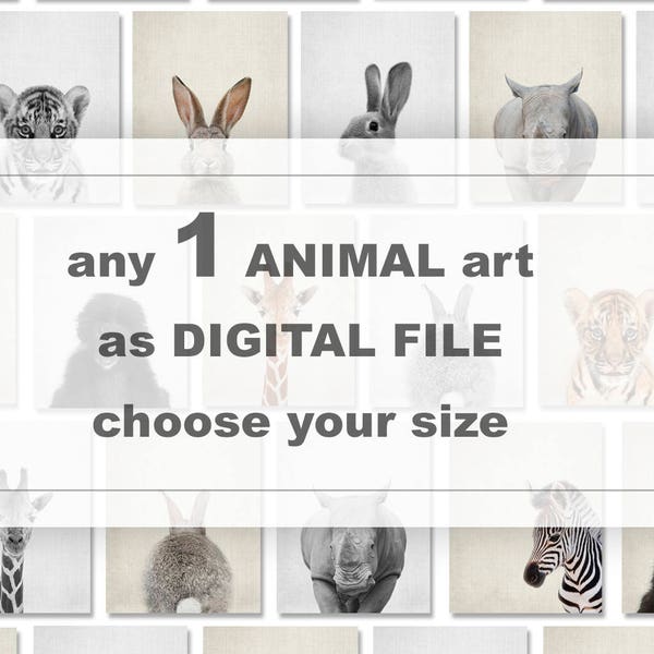 Choose any 1 ANIMAL art from my shop PinkeeArt and turn into digital file, printable animal, digital download animals, printable nursery