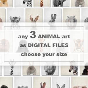Safari Animal Prints, Baby Nursery Decor, Any 3 Prints (Digital Download)