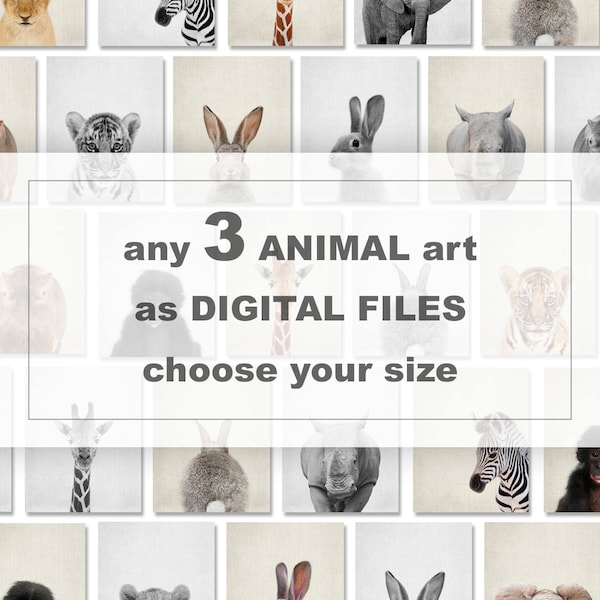 Any 3 Downloadable Animal Print, Printable Animals Wall Art, Digital Download Animals, Baby Animal Nursery Decor, Safari Animals Printables