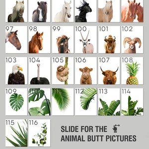 May include: A collage of images featuring various animals, including a horse, a sloth, a cow, a pineapple, and a variety of plants. The text "SLIDE FOR THE ANIMAL BUTT PICTURES" is displayed at the bottom of the collage.