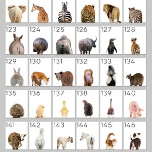 May include: A collection of 16 animal images, each showing the animal's rear end. The animals include an elephant, giraffe, zebra, tiger, lion, leopard, rhinoceros, hippopotamus, bear, fox, squirrel, raccoon, hedgehog, chicken, duck, pig, cow, sheep, horse, cat, and dog.