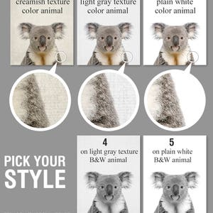 May include: Five different styles of koala bear illustrations. The first three show the koala in color with different background textures. The last two show the koala in black and white with different background textures. The text "Pick Your Style" is at the bottom of the image.