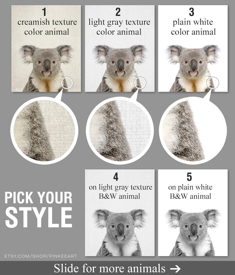 May include: Five different styles of koala bear illustrations. The first three show the koala in color with different background textures. The last two show the koala in black and white with different background textures. The text "Pick Your Style" is at the bottom of the image.