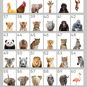May include: A grid of 60 squares, each containing a different animal illustration. The animals include a duck, rooster, elephant, giraffe, monkey, orangutan, lion, tiger, cheetah, zebra, panda, hippopotamus, rhino, koala, wolf, flamingo, and more. The squares are numbered from 31 to 60.