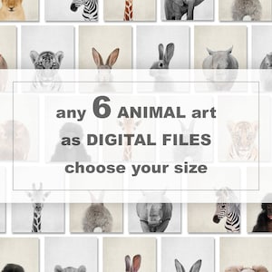 May include: A collage of 18 digital animal art prints featuring a variety of animals, including a lion, zebra, giraffe, elephant, tiger, rabbit, rhino, and gorilla. The text "any 6 ANIMAL art as DIGITAL FILES choose your size" is displayed in the center of the collage.
