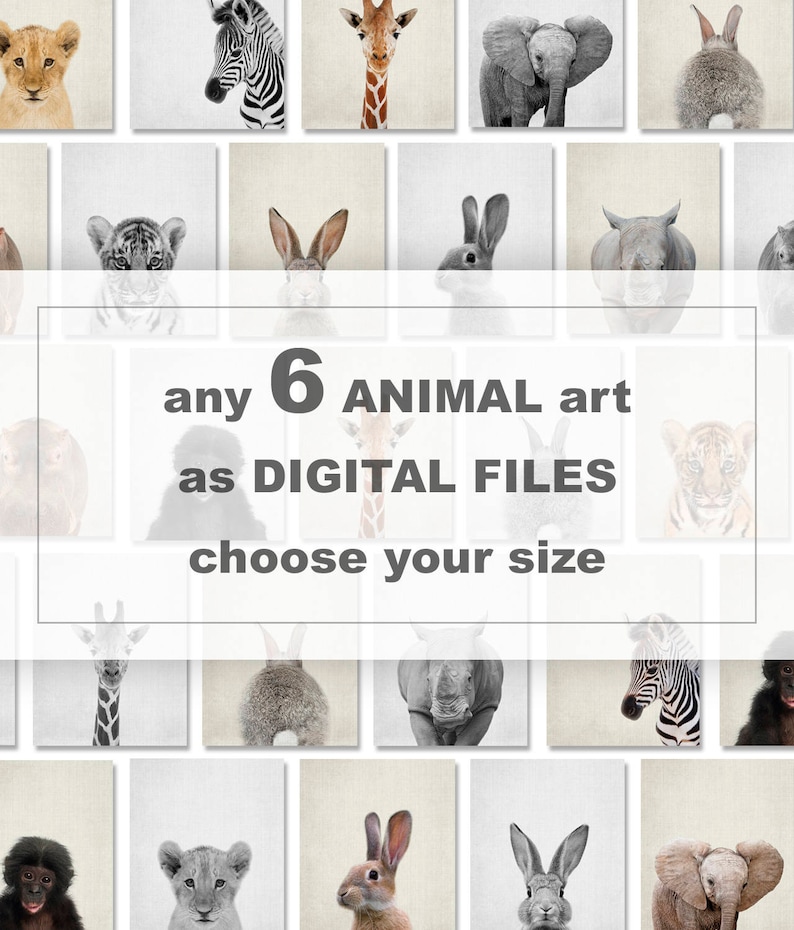May include: A collage of 18 digital animal art prints featuring a variety of animals, including a lion, zebra, giraffe, elephant, tiger, rabbit, rhino, and gorilla. The text "any 6 ANIMAL art as DIGITAL FILES choose your size" is displayed in the center of the collage.