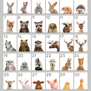 May include: A grid of 30 images featuring different animals, including a rabbit, fox, bear, raccoon, owl, squirrel, deer, wolf, otter, moose, alpaca, donkey, horse, goat, cow, pig, and duck. The images are numbered 1 through 30.