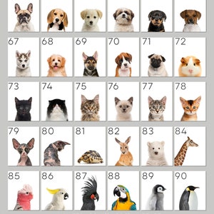 May include: A grid of 90 squares, each containing a different animal. The animals include dogs, cats, a guinea pig, a turtle, a kangaroo, a polar bear, a giraffe, a cockatoo, a black cockatoo, a parrot, a penguin, and a pink cockatoo.