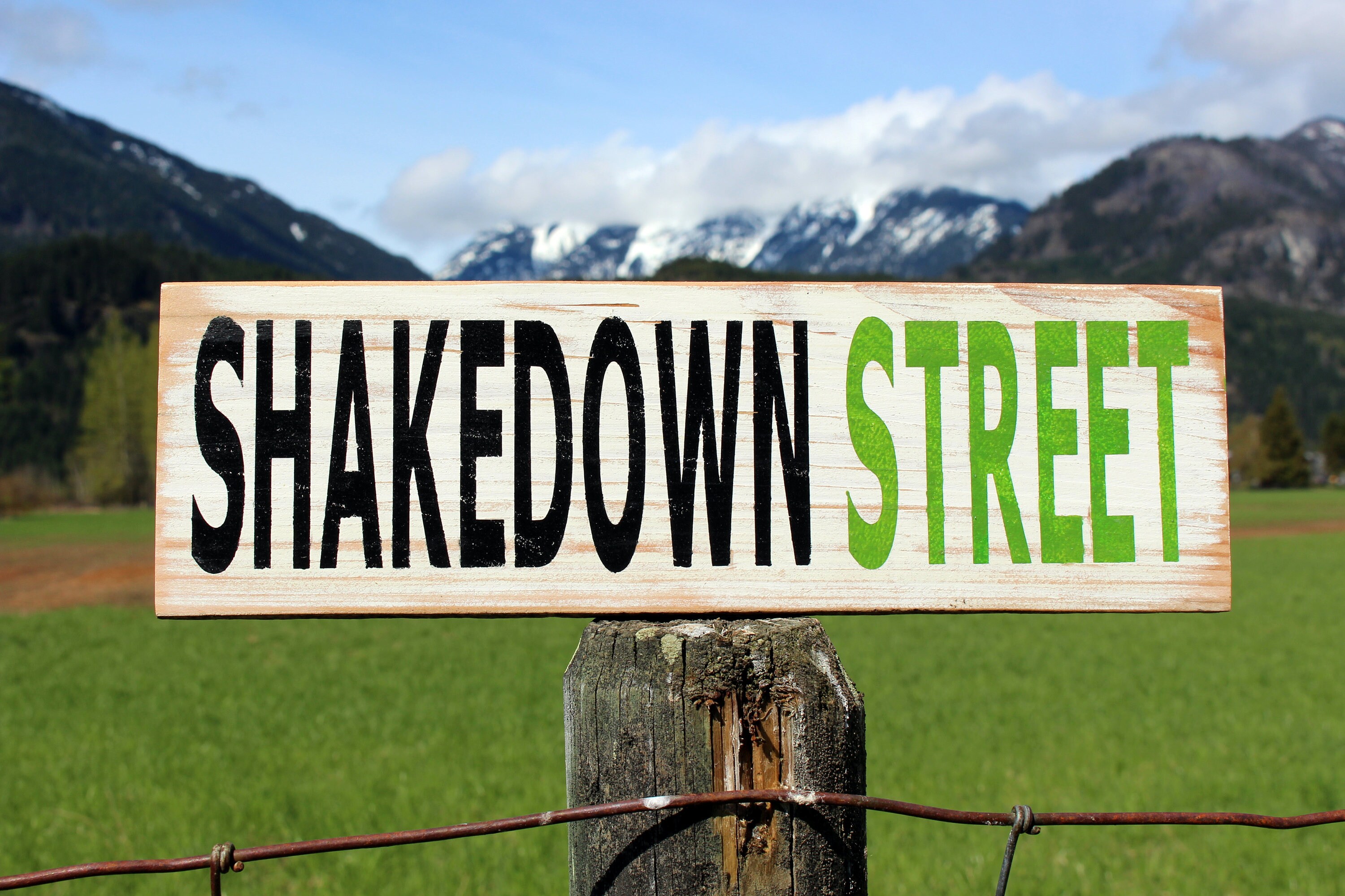 Shakedown Street Sign Grateful Dead Wall Art Grateful Dead Etsy