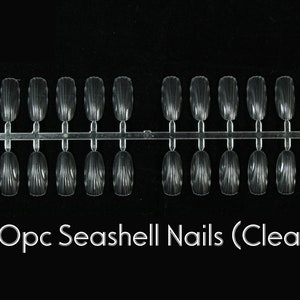 Op de afbeelding: Een set van 12 doorzichtige kunststof valse nagels in de vorm van een schelp. De nagels zijn gerangschikt in twee rijen van zes op een plastic strip. 120pc Seashell Nails (Clear)