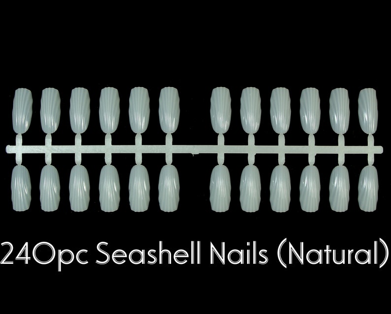 Op de afbeelding: Een set van 24 transparante, natuurlijke, schelpvormige, kunstnagels in een plastic houder. De nagels zijn gerangschikt in twee rijen van 12.