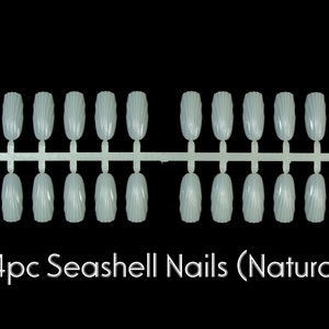 Op de afbeelding: Een set van 24 natuurlijke, schelpvormige kunstnagels in een plastic houder. De nagels zijn gerangschikt in twee rijen van 12.