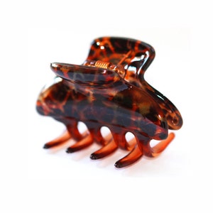 Jaw Clip Made In France Attractive Hand Painted Shades 2 1/2 x 1 3/4 Inches Made of Celluloid Acetate Hair Claw Q33