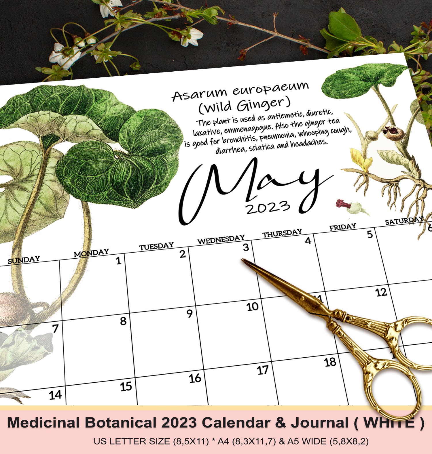 Medicinal Herbs Monthly Calendar 2023 PRINTABLE 2023 Etsy