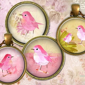 4 Sweet Birds Images for pendants, Digital collage sheets, 30mm, 25mm, 18mm - Bottle cap images 1 inch round - Images for download