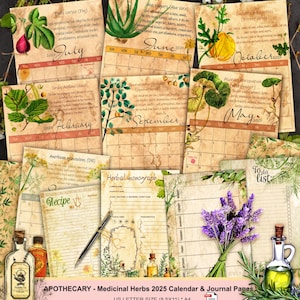 MEDICINAL HERBS, 2025 Botanical Calendar, Monthly Calendar 2025 , 2025 Calendar, Calendar 2025 digital , Printable Calendar 2025, Apothecary