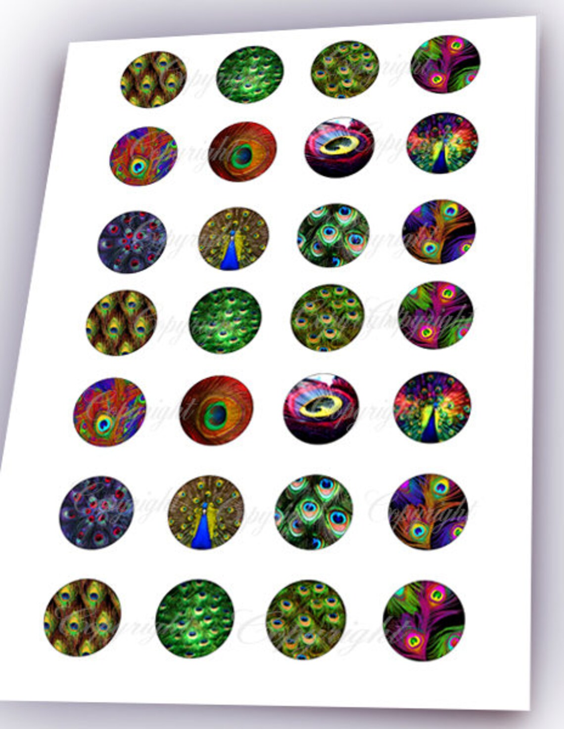 PEACOCK FEATHERS Printable Digital Collage Sheets for Bottle - Etsy