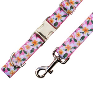 Plumeria Paradise | Collar & Leash Set Options