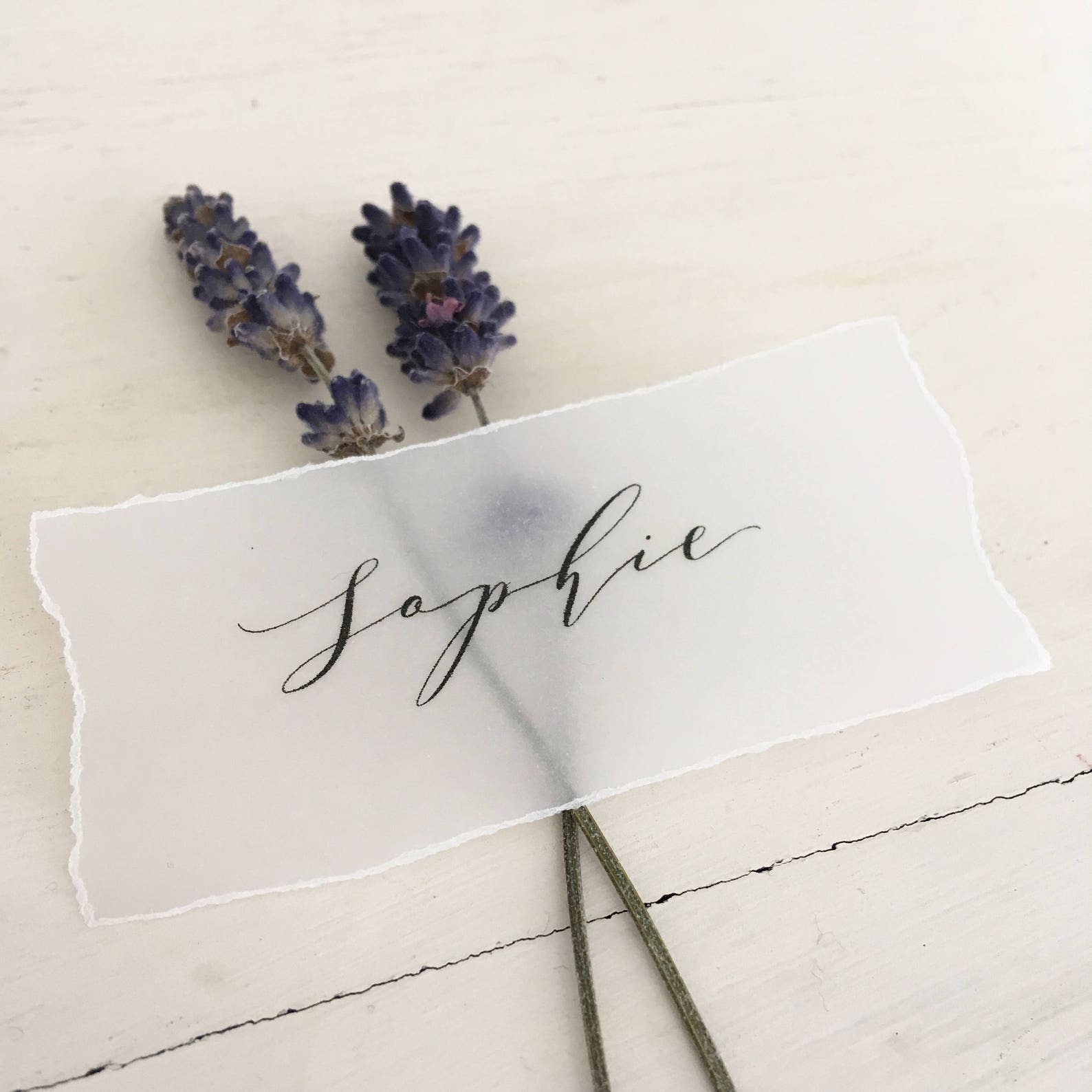Torn edge place cards Vellum Place Names Vellum Name Cards Etsy