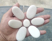 13 CM STONE FLOWER, Pebble Art Flower, Rock Flower, Pebble Art Supplies, Flower Home Decor, Pebble Flower Decorations, 130 mm Diameter
