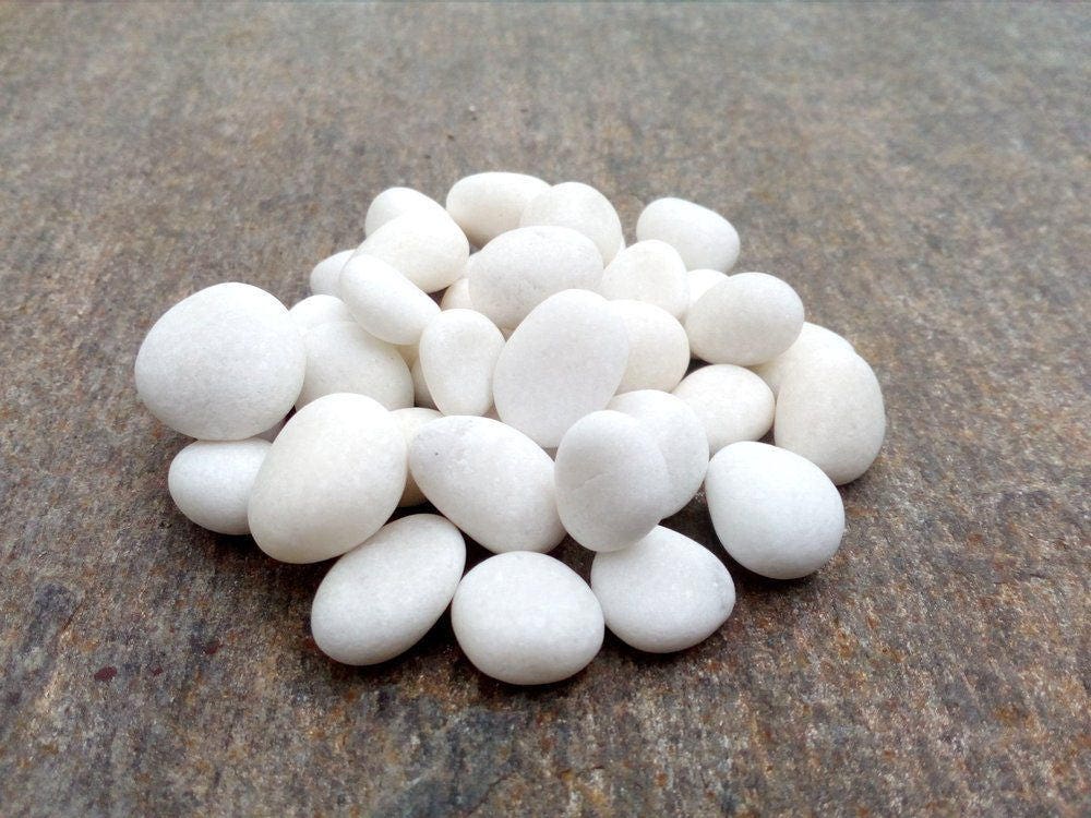 40 Small White Stones Bulk Tiny White Pebbles White Pebble Etsy