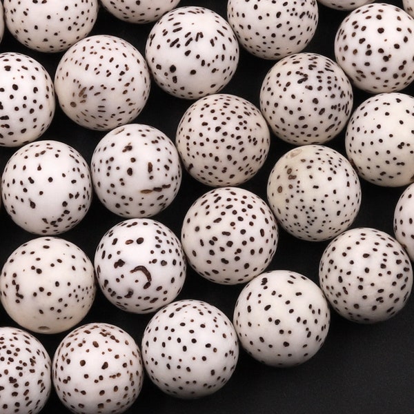 Natural Daemonorops Margaritae Round Beads 6mm 8mm 9mm 10mm "Star and Moon" Bodhi Seed Prayer Beads Meditation Mala Making 15.5" Strand