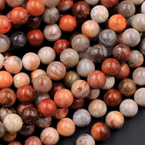 Natural Fossil Coral Round Beads 6mm 8mm 10mm Vibrant Red Orange Brown Tan Beige Beads 15.5&quot; Strand