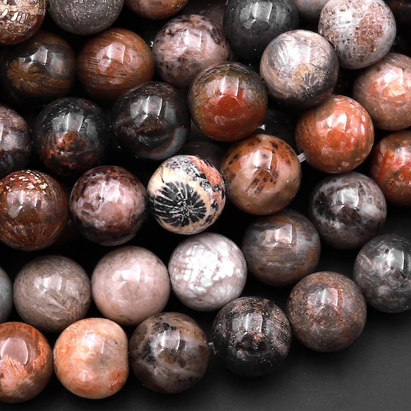 Natural Fossil Coral Round Beads 4mm 6mm 8mm 10mm Orange Red Dark Gray Brown Tan Beige Beads 15.5" Strand