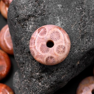 AAA Natural Fossil Coral Donut Bead Pendant 15mm Peach Pink Gray Gemstone