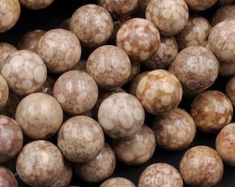 Natural Fossil Crinoid Round Beads 4mm 6mm 8mm 10mm Earthy Brown Beige Tan Gemstone 15.5" Strand