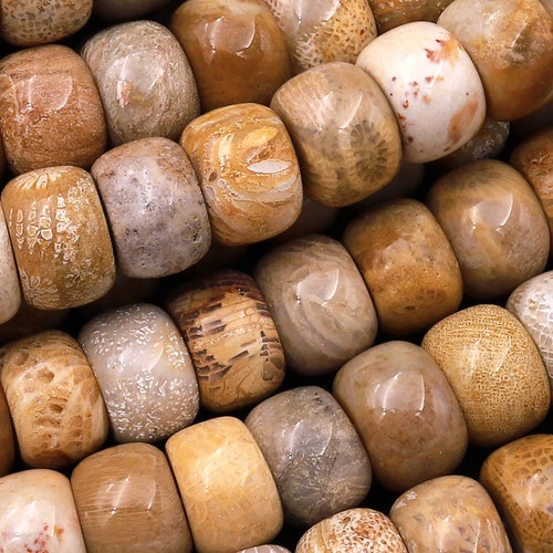 Natural Fossil Coral Round Beads 4mm 6mm 8mm 10mm Orange Red Etsy