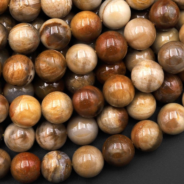 Perles en bois pétrifié naturel 4 mm 6 mm 8 mm 10 mm Perles rondes brun terreux fauve beige taupe Pierre naturelle 16 po.