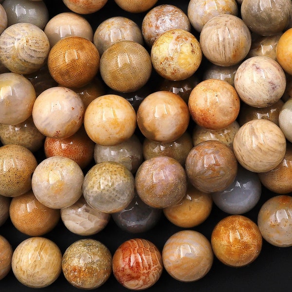 Natural Fossil Coral Round Beads 4mm 5mm 6mm 7mm 8mm 9mm 10mm 12mm Vibrant Orange Brown Tan Beige Beads 15.5" Strand
