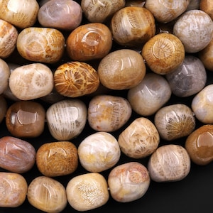 Natural Fossil Coral Beads Freeform Pebble Nuggets 15.5&quot; Strand