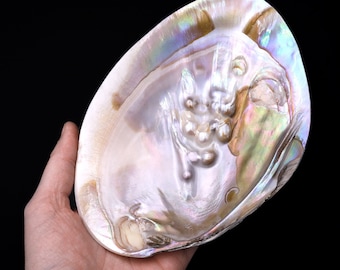 Large Natural Mother of Pearl Shell Dish W Real Iridescent Blister Pearls