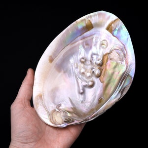 Large Natural Mother of Pearl Shell Dish W Real Iridescent Blister Pearls