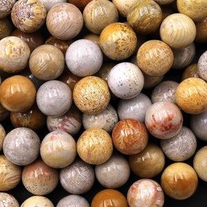 Natural Fossil Coral Round Beads 6mm 8mm 9mm 10mm 12mm Brown Gray Tan Beige Beads 15.5&quot; Strand