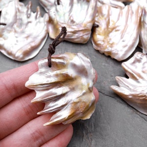 Angel Wing Large Genuine Natural Freshwater Blister Pearl Freeform Drilled Pendant