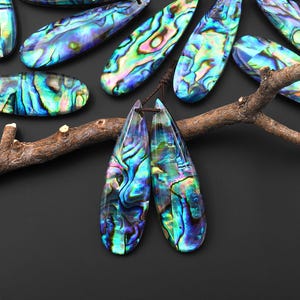 Könnte beinhalten: Eine Sammlung schillernder Abalone-Muschel-Anhänger in Blau-, Grün- und Lilatönen. Die tropfenförmigen Anhänger sind an braunen Kordeln aufgereiht und auf einer dunklen Oberfläche mit einem Ast angeordnet.