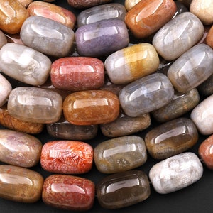 Extremely Rare Agatized Natural Fossil Coral Beads Smooth Barrel Drum Gemstone 15.5&quot; Strand