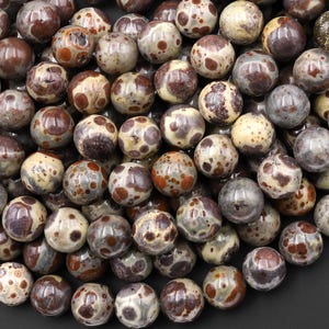 Perle rotonde di diaspro asteroide naturale AAA da 6 mm, 8 mm e 10 mm, noto anche come diaspro oceano cioccolato Astroite, filo da 15,5".