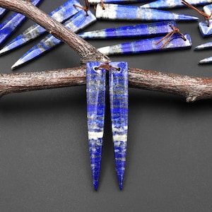 May include: A pair of long, pointed lapis lazuli earrings with a blue and white marbled pattern. The earrings are suspended from a branch.