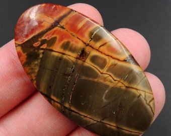 Red Creek Jasper Undrilled Multicolored Oval Natural Stone Cabochon Cab C171