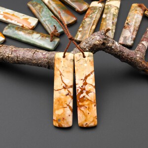 May include: Two rectangular, beige and brown stone pendants with a brown cord are displayed. The pendants have a marbled appearance with brown veining. Other rectangular stones in shades of green, orange, and beige are arranged in the background.