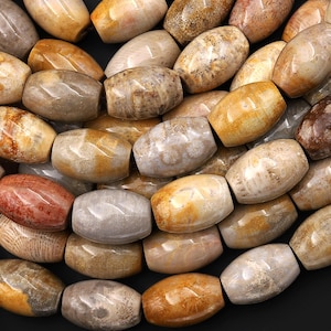 AAA Large Hole Beads Natural Fossil Coral Smooth Drum Barrel Beads 20mm Golden Brown Beige Tan Yellow Gemstone 8&quot;