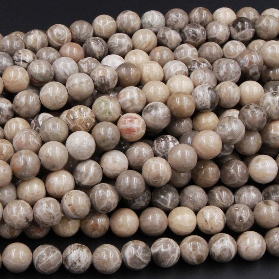 Natural Michigan Petoskey Stone Fossil Coral Round 6mm 8mm 10mm 12mm …