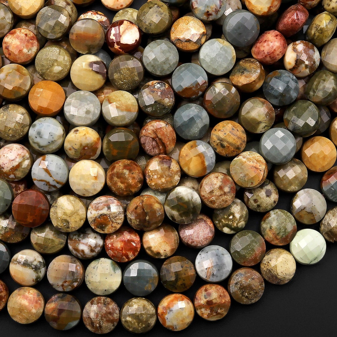 Faceted Natural Owyhee Picture Jasper Coin Beads 6mm 8mm 10mm 15.5 ...