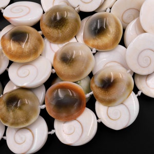 Shiva Eye Shell Beads Raw Organic Natural Fossil Domed Coin Disc Vibrant Green Red Orange Brown Gold Shell Beads 16mm 18mm 20mm 15.5&quot; Strand